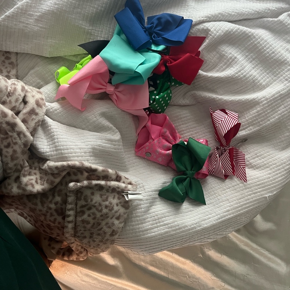 Vibrant Hair Bow Set